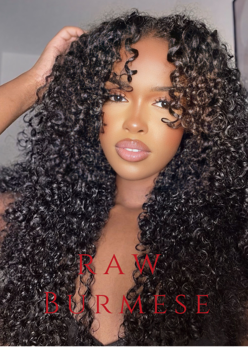 Burmese Curly 4 Bundle Deals